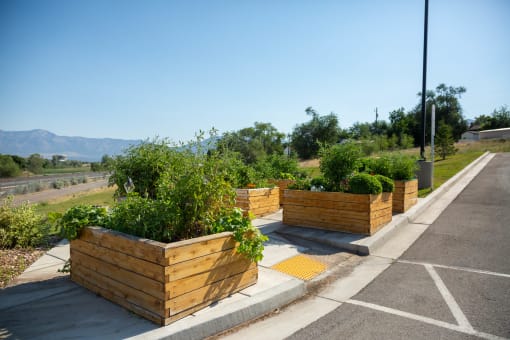 a row of raised garden beds on the side of a road