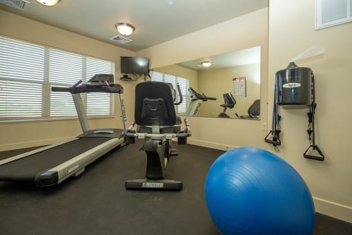 a home gym with a treadmill and exercise balls