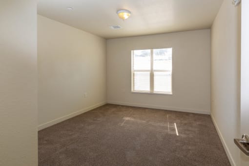 a bedroom with a carpeted floor and a window