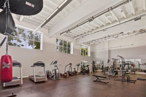 a workout room with treadmills and weights in a studio