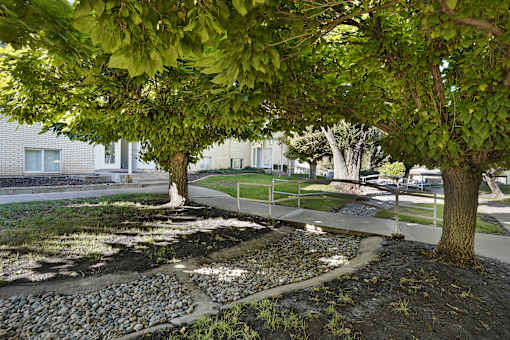 A tree with green leaves is in the foreground of the image.