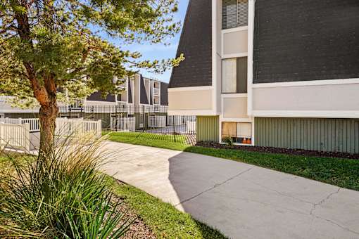 A modern building with a tree in front of it.