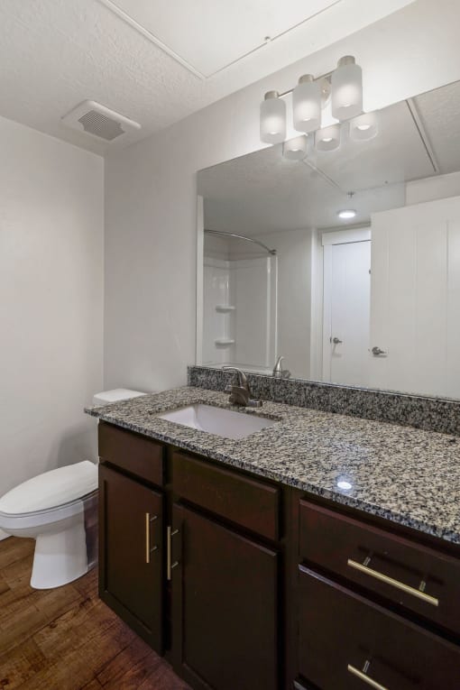 a bathroom with a sink and a toilet and a mirror