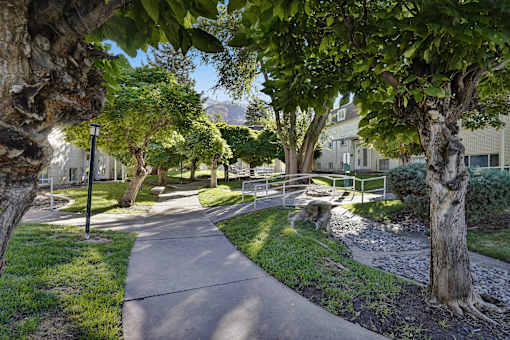 A tree-lined walkway in a park.