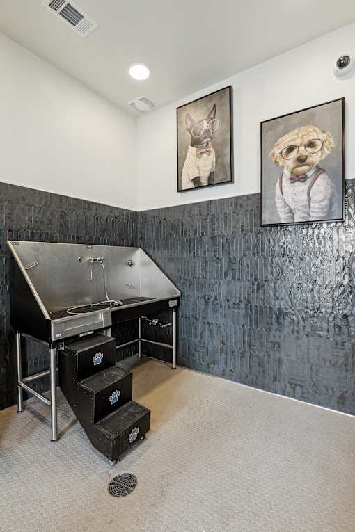 Pet spa with elevated washing station at The Westerly Apartments, Texas, 76065