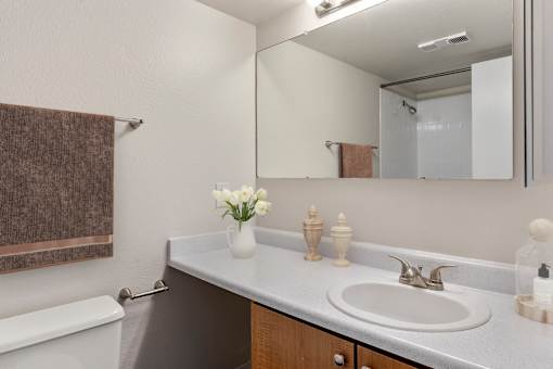 A Classic Bathroom at Horizon East Apartments