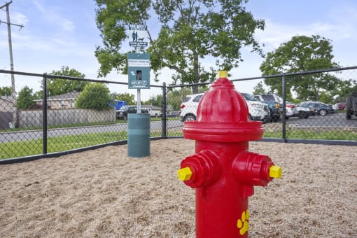 Dog Agility Park at Hilltop View Apartments