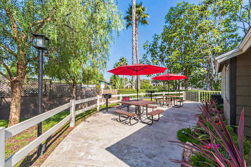 A BBQ and Picnic area at Meadow Creek Apartments in San Marcos, CA