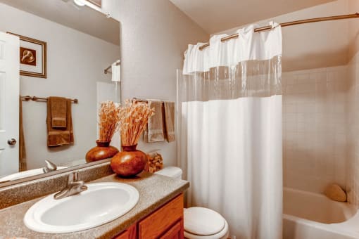 The Bathroom at Greentree Village Apartments