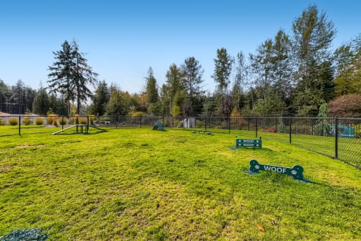 Dog Agility Park at 5100 Summit Apartments 