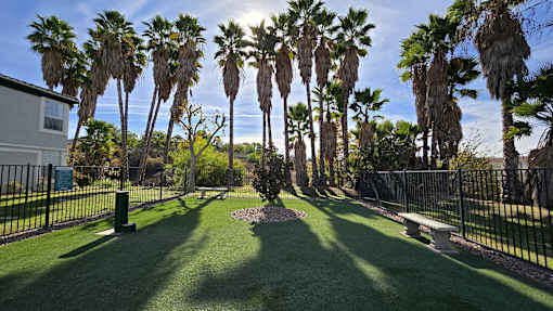 Paws and play at The Hills at Quail Run's dog park!  Enjoy a shaded, dog-friendly space where your furry friends can run, play, and relax.