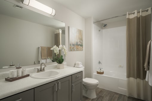 Elegant and modern bathrooms at Trevi Apartment Homes at Trevi Apartment Homes, Arizona