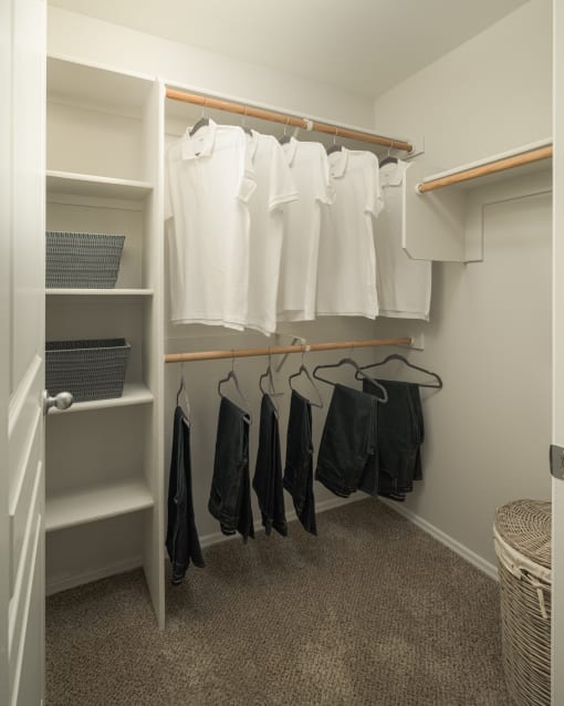 Large walk-in closets  at Trevi Apartment Homes, Arizona