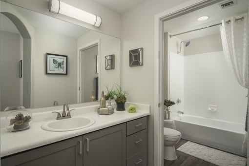 Elegant and modern bathrooms at Trevi Apartment Homes, Chandler, AZ