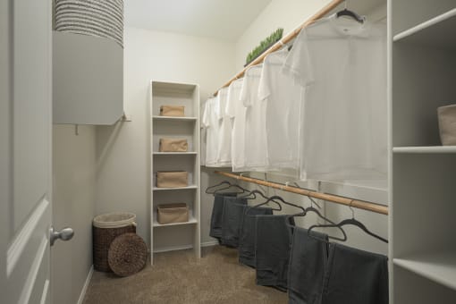 Large walk-in closets at Trevi Apartment Homes, Chandler, 85224