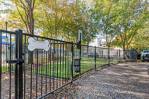 Our newly renovated dog park is now open, featuring fresh turf and plenty of space for your furry friends to play and socialize.