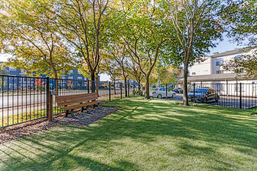 Our newly renovated dog park is now open, featuring fresh turf and plenty of space for your furry friends to play and socialize.