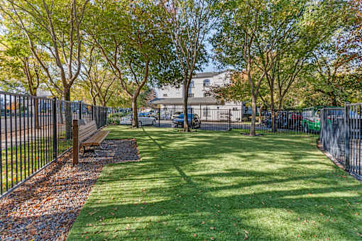 Our newly renovated dog park is now open, featuring fresh turf and plenty of space for your furry friends to play and socialize.