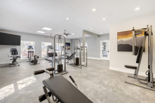 Whether you're lifting weights, participating in group classes, or enjoying cardio sessions, our revitalized space inspires you to achieve your health goals in style.