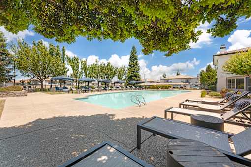 Our pool deck is lined with lounge chairs and surrounded by lush trees, offering shade, comfort, and scenic views—just steps from the clubhouse and leasing office at Ascent at the Galleria.
