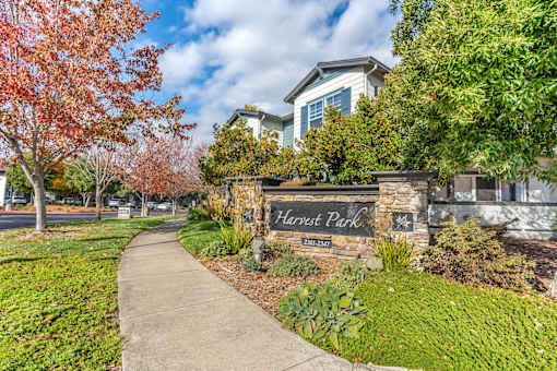 Harvest Park Apartment Homes is graced with luscious trees throughout the property