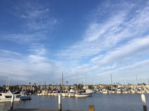 Harbor in downtown Benicia at Club Pacifica, Benicia California