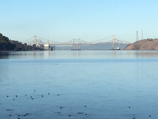 Bridge over bay during the day at Club Pacifica, Benicia