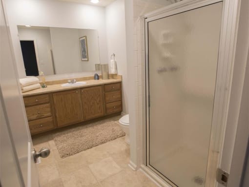 Town-home Master Bath with Shower