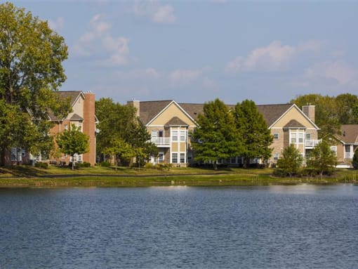 Lake Views