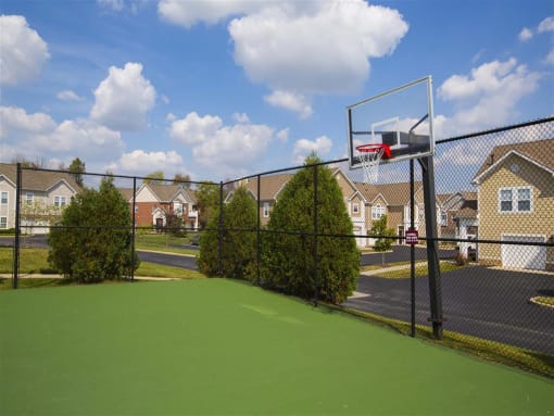 Half Court Basketball