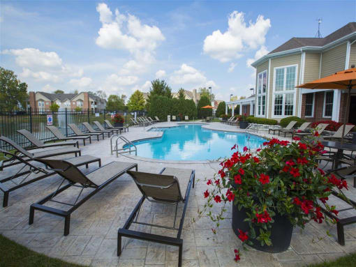 Lake View Pool