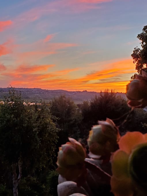 Sunset over Carquinez Bridge at Club Pacifica, Benicia, 94510