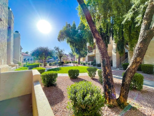 Walking pathways throughout the community at Ventana Apartments in Scottsdale, AZ!