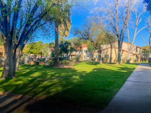 Community filled with lush landscaping and mature trees at La Hacienda Apartments in Tucson, AZ!