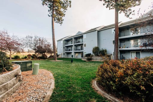 our apartments are located in a quiet area with grass and trees