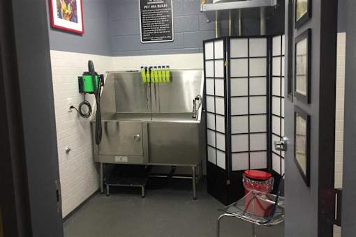 Paw Spa at Link Apartments® Canvas, Atlanta, GA, 30312