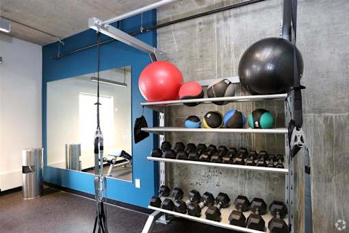 Free Weights In Gym at Link Apartments® Canvas, Atlanta, 30312