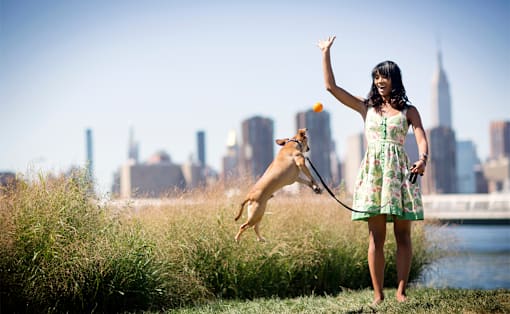 a girl in a green dress with a yellow dog on a leash and an orange in her