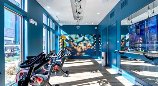 A gym with exercise bikes and a blue wall.