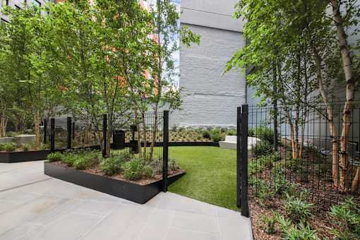 A modern garden with a black fence and a variety of plants at Link Apartments® QPN, Long Island City, New York