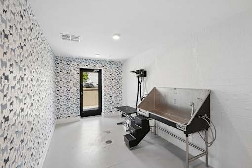 Pet spa with grooming station and bath at Link ® Lake Park Apartments, Smyrna, 30080