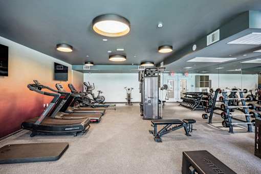 the gym with plenty of exercise equipment at the preserve at greatstone at Link Apartments® Four 12, Oakland, CA, 94607