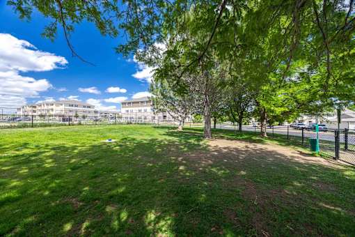 A green grassy area with trees and a building in the background.
