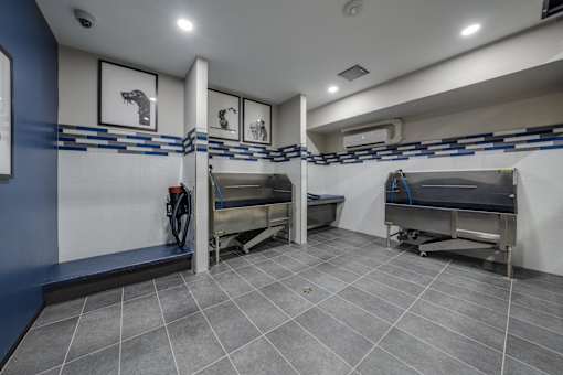 pet wash station at Ladera