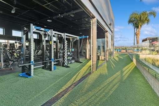 A gym with a green carpet and various exercise equipment.