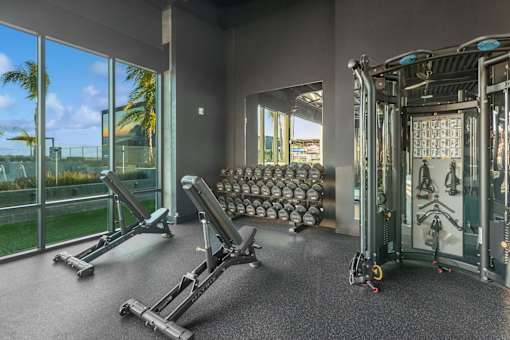 A gym with a row of treadmills, a row of exercise bikes, and a row of weight machines.