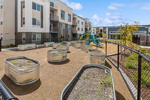 Community garden at Brix 325