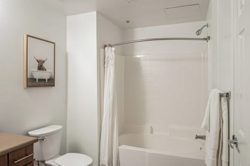 a bathroom with a shower and a toilet and a sink