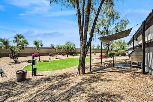 dog park at 2150
