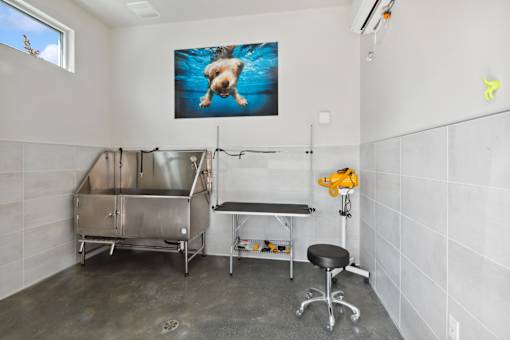 Dog grooming station at Brix 325